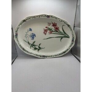 Noritake Gala Cuisine Conservatory Botanical Garden Butterfly Platter Japan 14.5